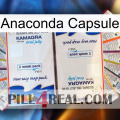 Anaconda Capsule kamagra1